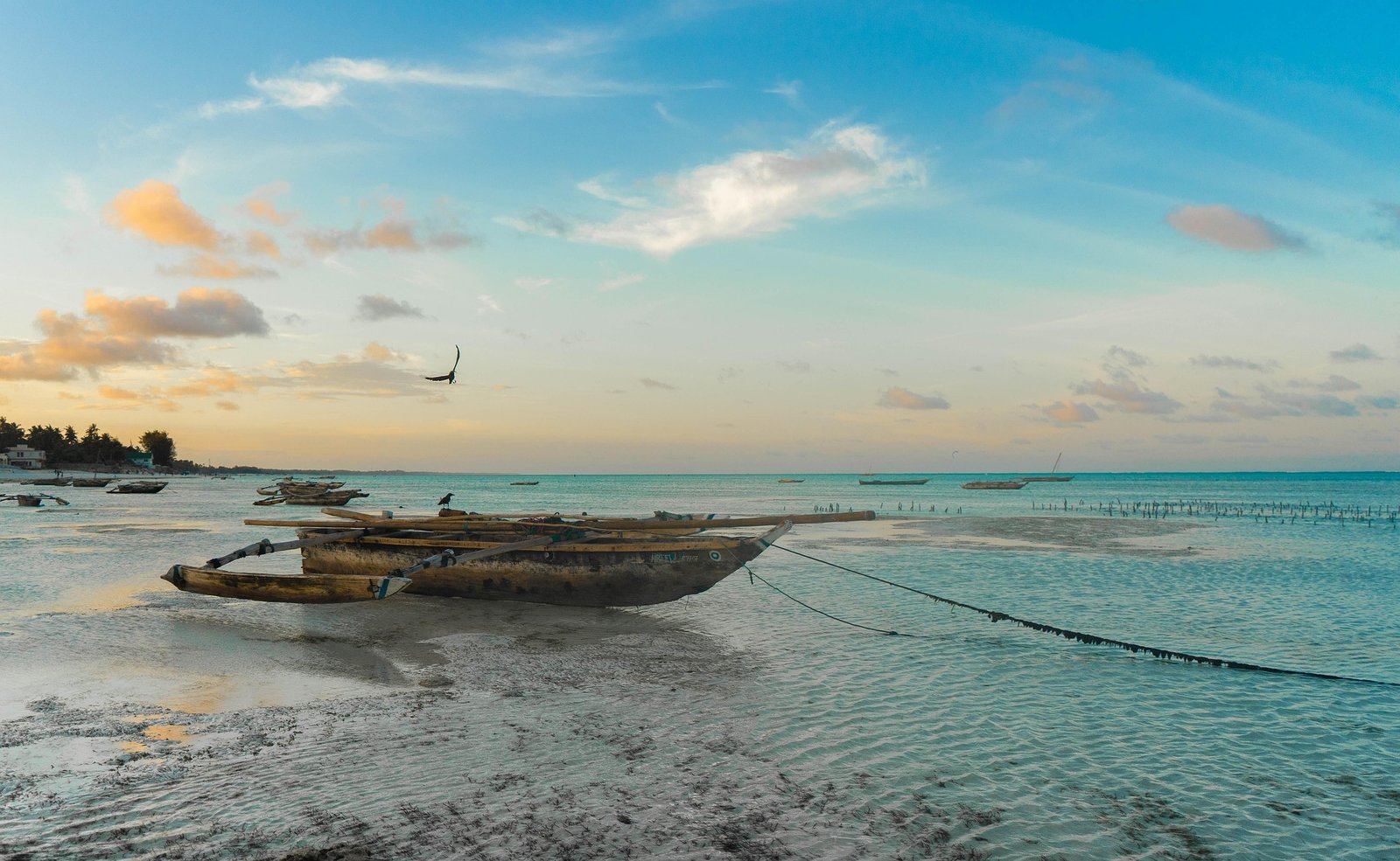 Tanzania Safari & Zanzibar Beach Holiday Package