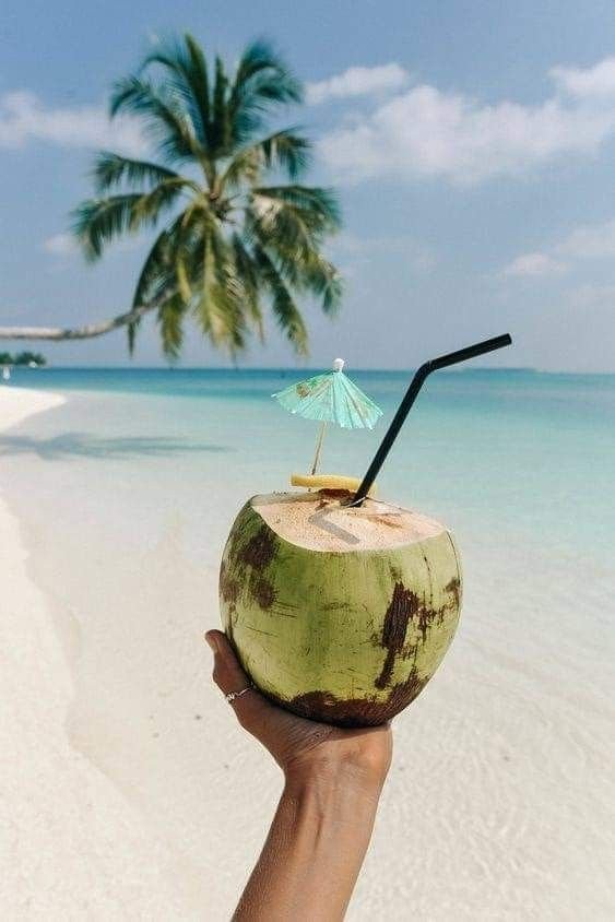 Zanzibar Beach Escape