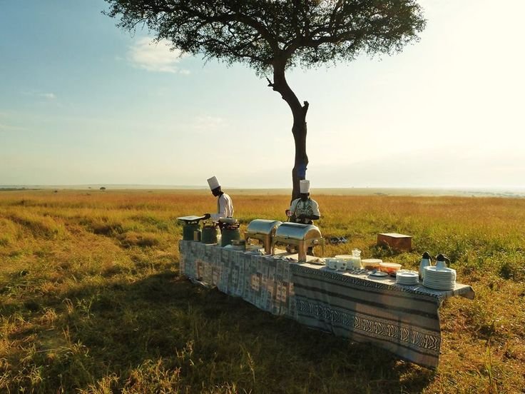 Luxury Safari in Northern Tanzania
