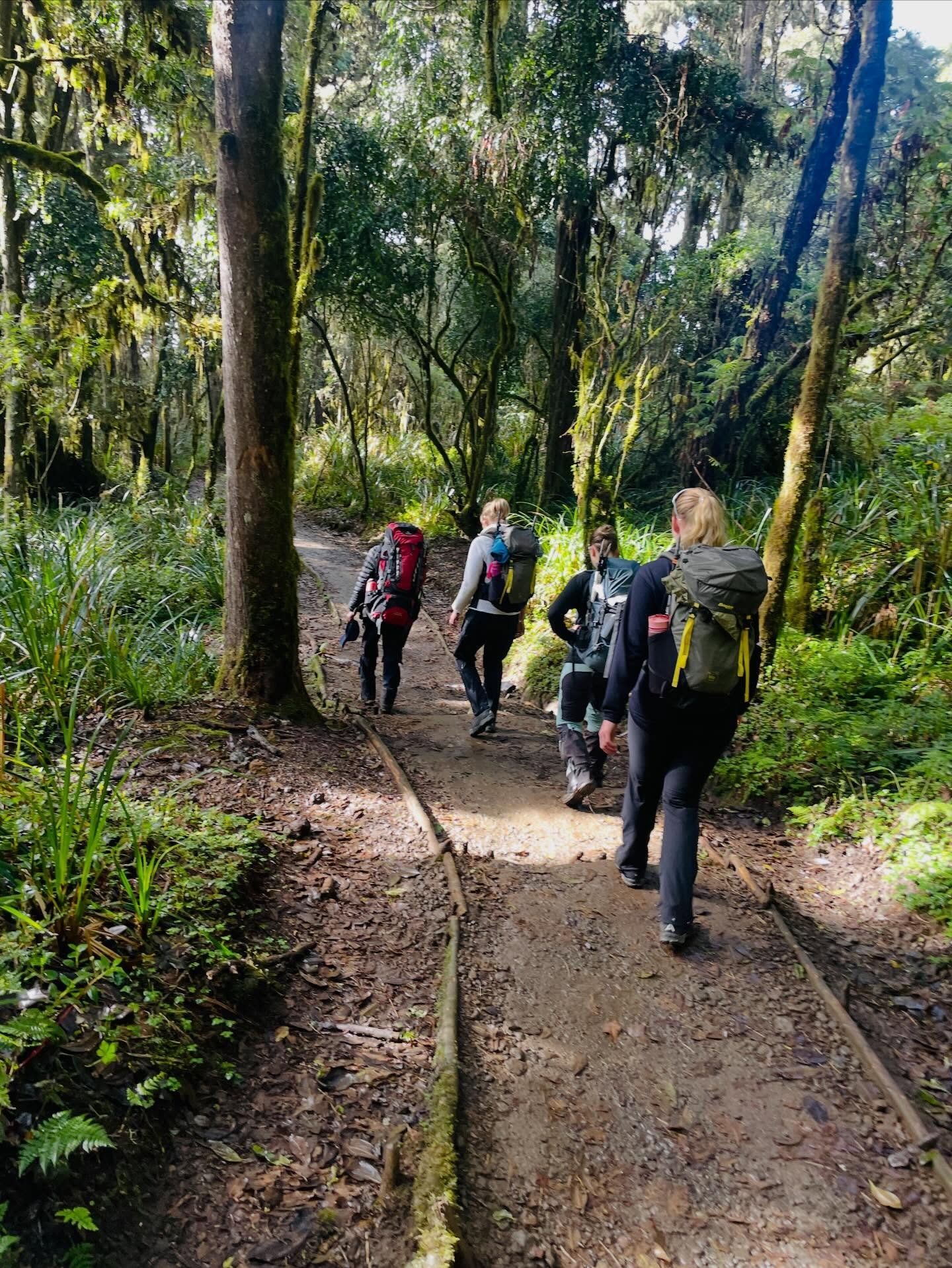 The golden rule is  "Pole pole" (pronounced po-le po-le), which means "slowly slowly" in Swahili. This is the key advice for altitude acclimatization and successfully reaching the summit.