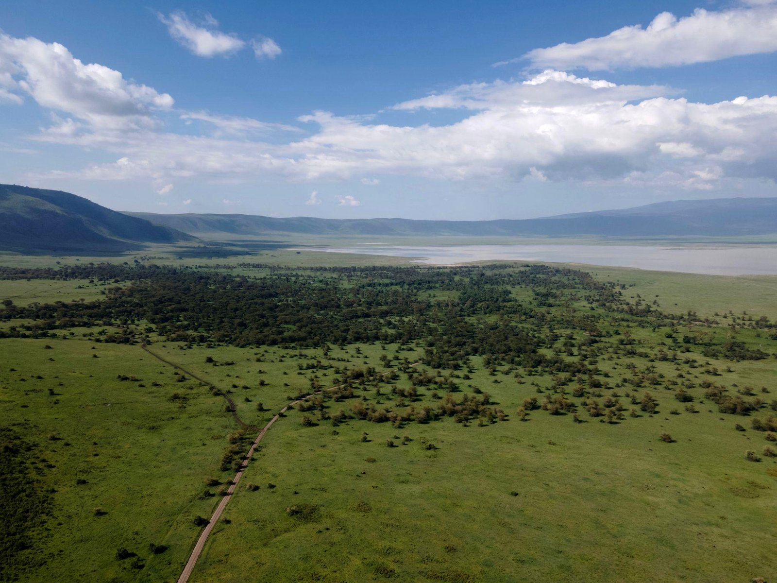 A mesmerizing view into the Ngorongoro Crater from the rim at misty dawn. The lush green walls of the caldera encircle a shimmering soda lake where tiny pink specks of flamingos are visible. The atmosphere is mystical and ancient, with soft morning light filtering through the clouds. This premium image emphasizes the unique geological and biological sanctuary of the crater.