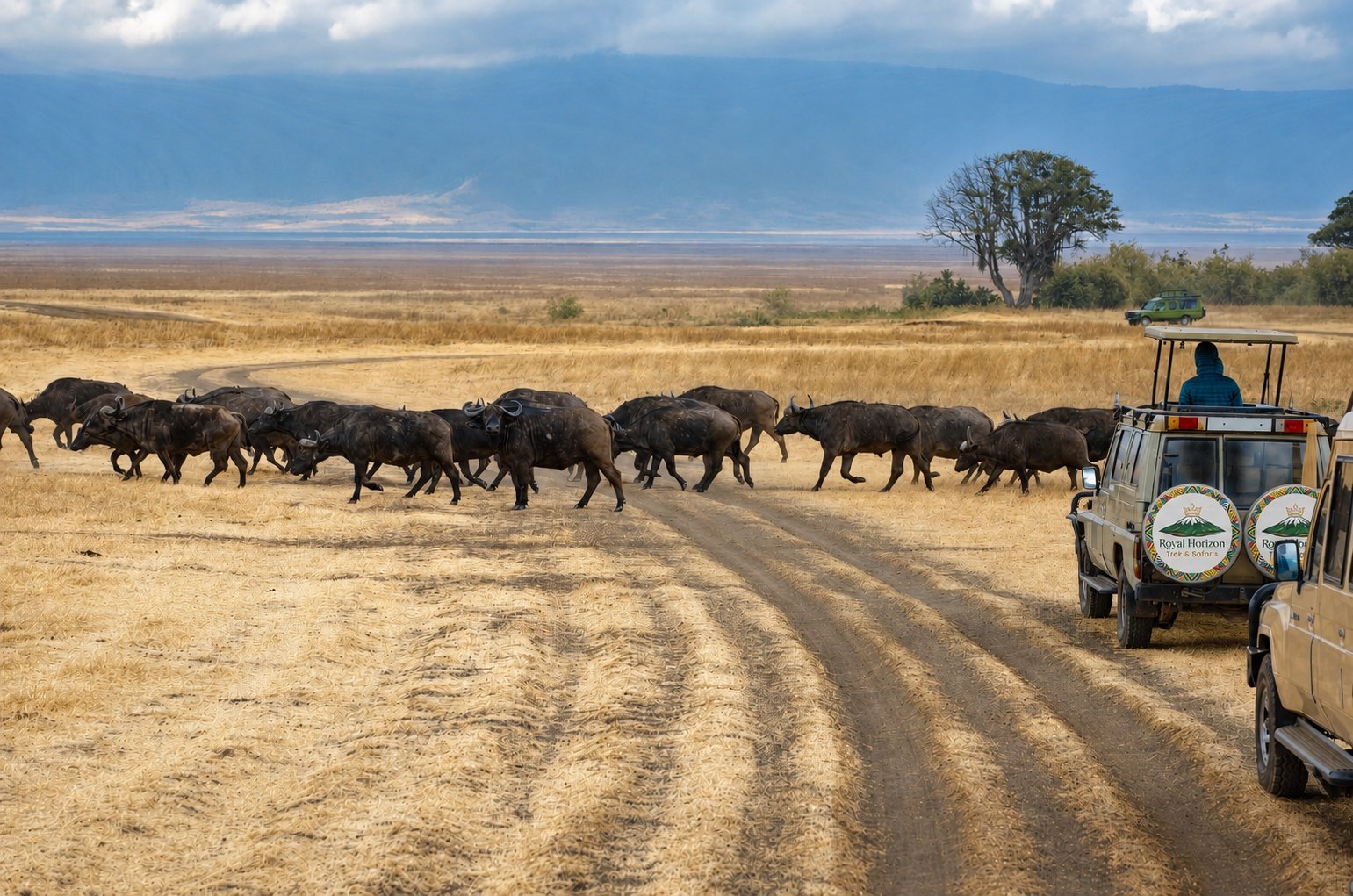 An expansive panoramic view of the Serengeti plains at sunset. Thousands of wildebeest are migrating across the golden grasslands under a dramatic sky filled with orange and purple clouds. The lighting is warm and cinematic, capturing the vastness and raw beauty of the African wilderness in an editorial, high-end style.
